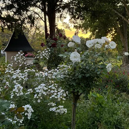 Chateau Des Quatre Tourelles 3*