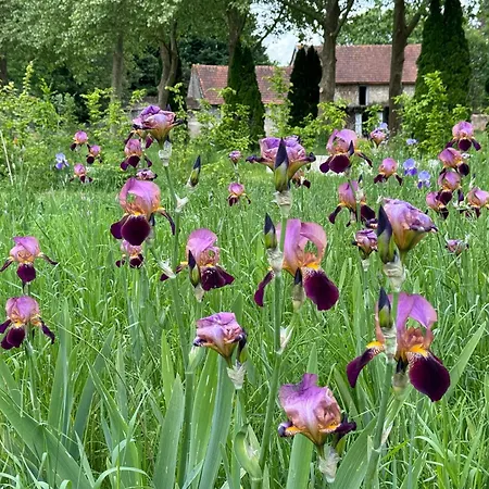 Nocleg ze śniadaniem Chateau Des Quatre Tourelles Doué-la-Fontaine