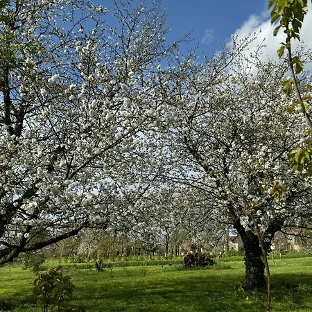 Chateau Des Quatre Tourelles Nocleg ze śniadaniem 3*